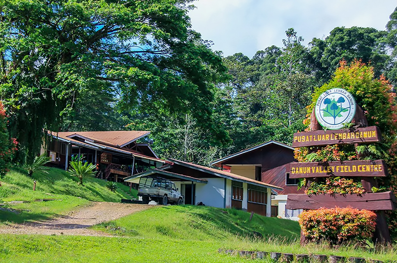 Borneo Rainforest Lodge vs Field Centre — Danum Valley, Sabah