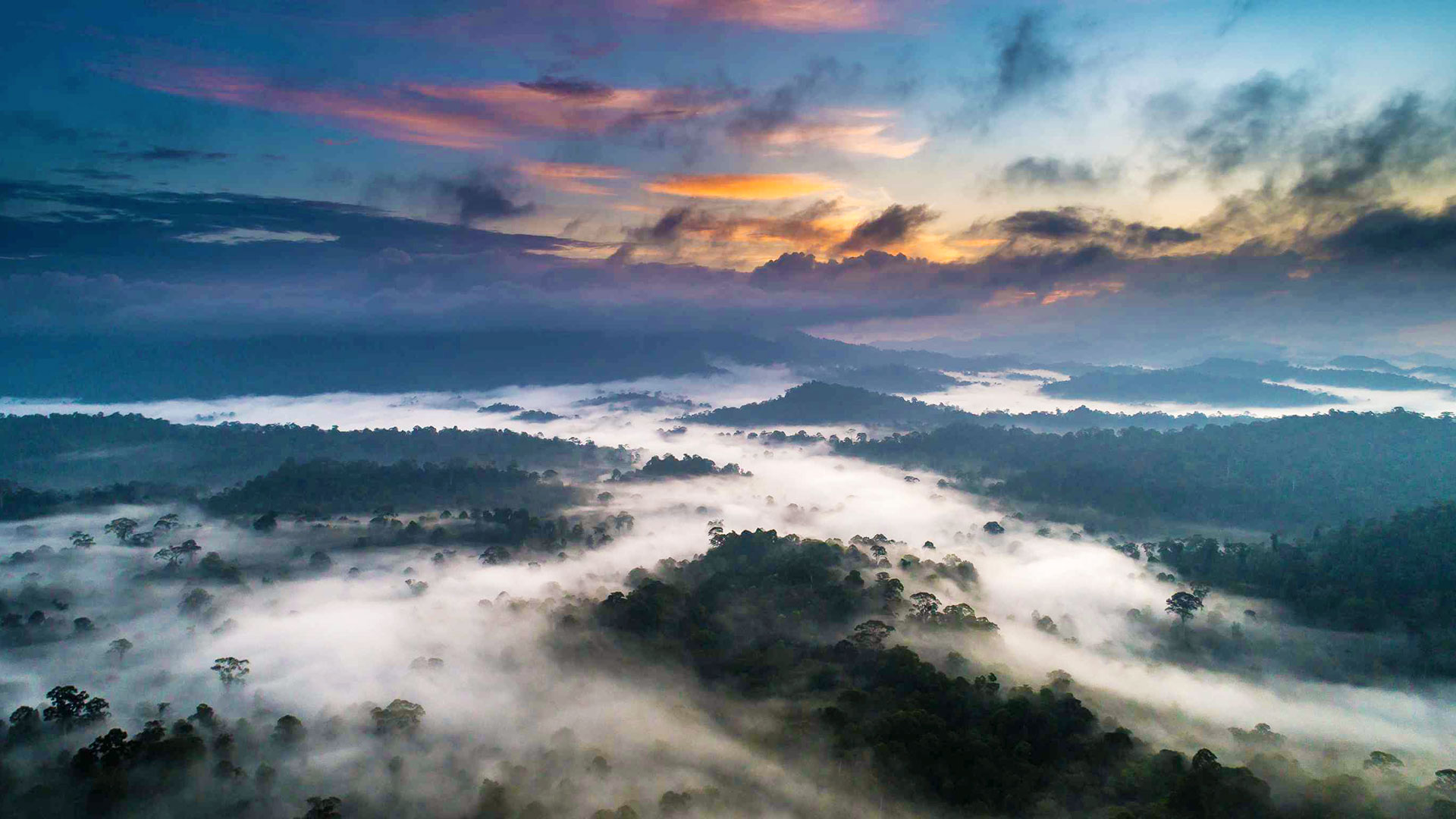 Camera with telephoto lens on a misty trail — Danum Valley