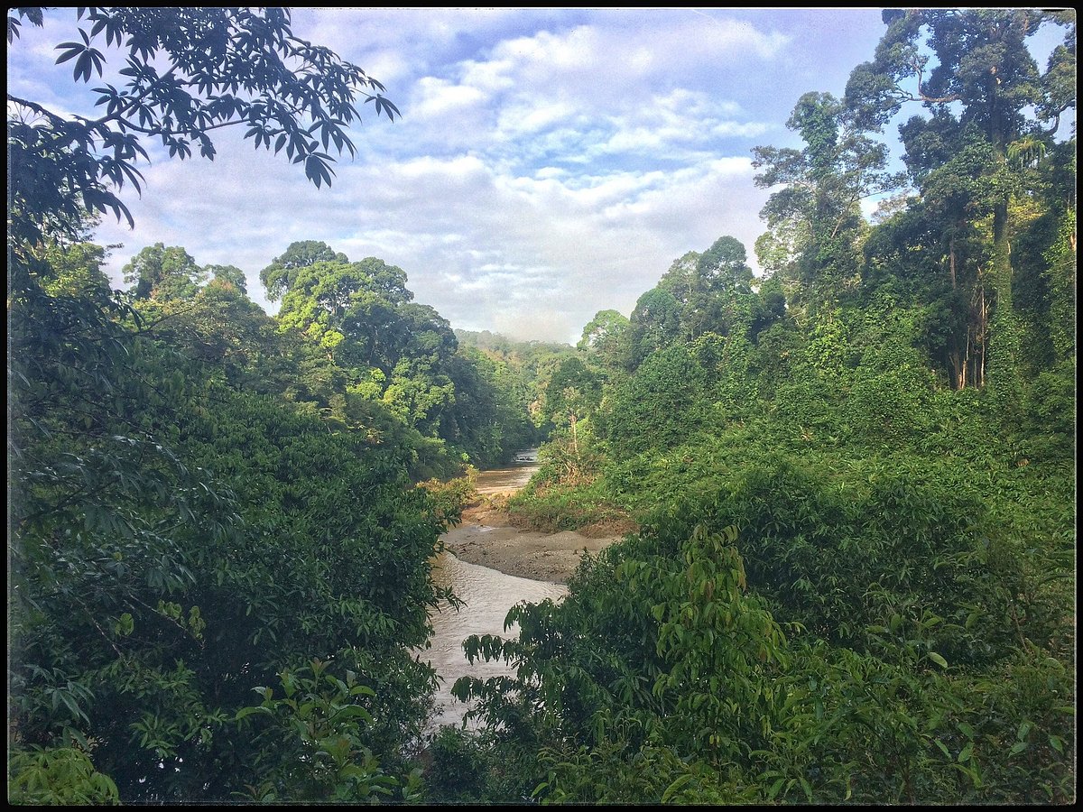 Danum River at dusk