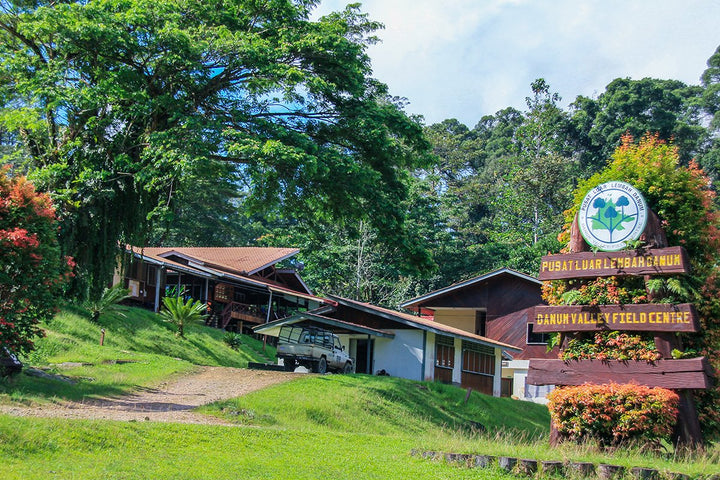 Danum Valley Field Centre research trail
