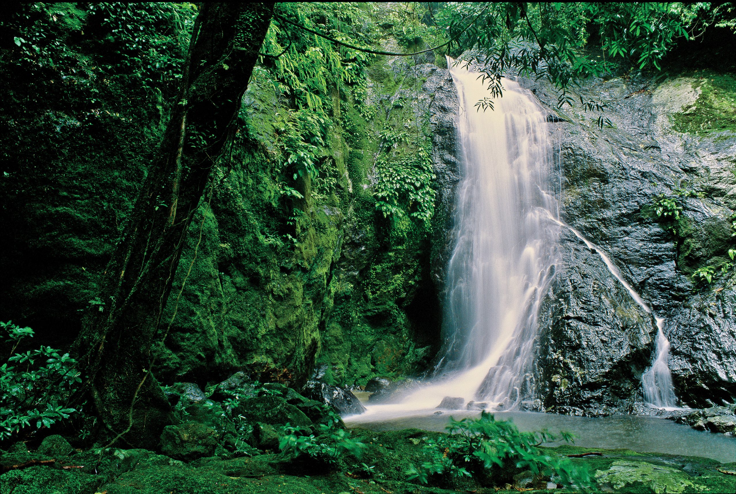 Permits and entrance fees explained — Danum Valley, Sabah