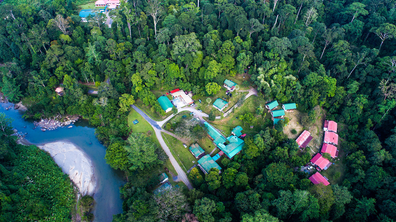 Researchers at work, Danum Valley Field Centre